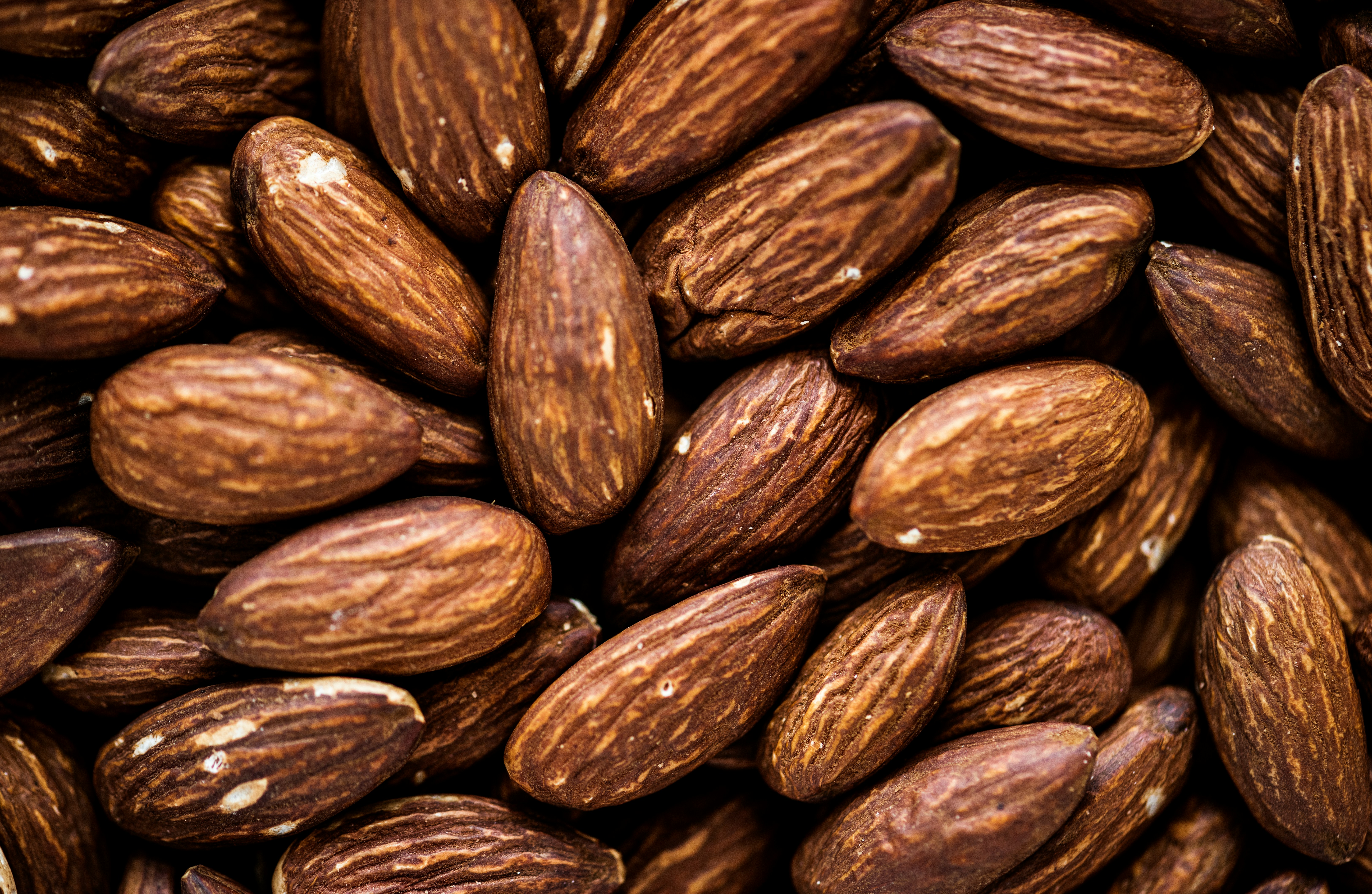 Cacao — 7