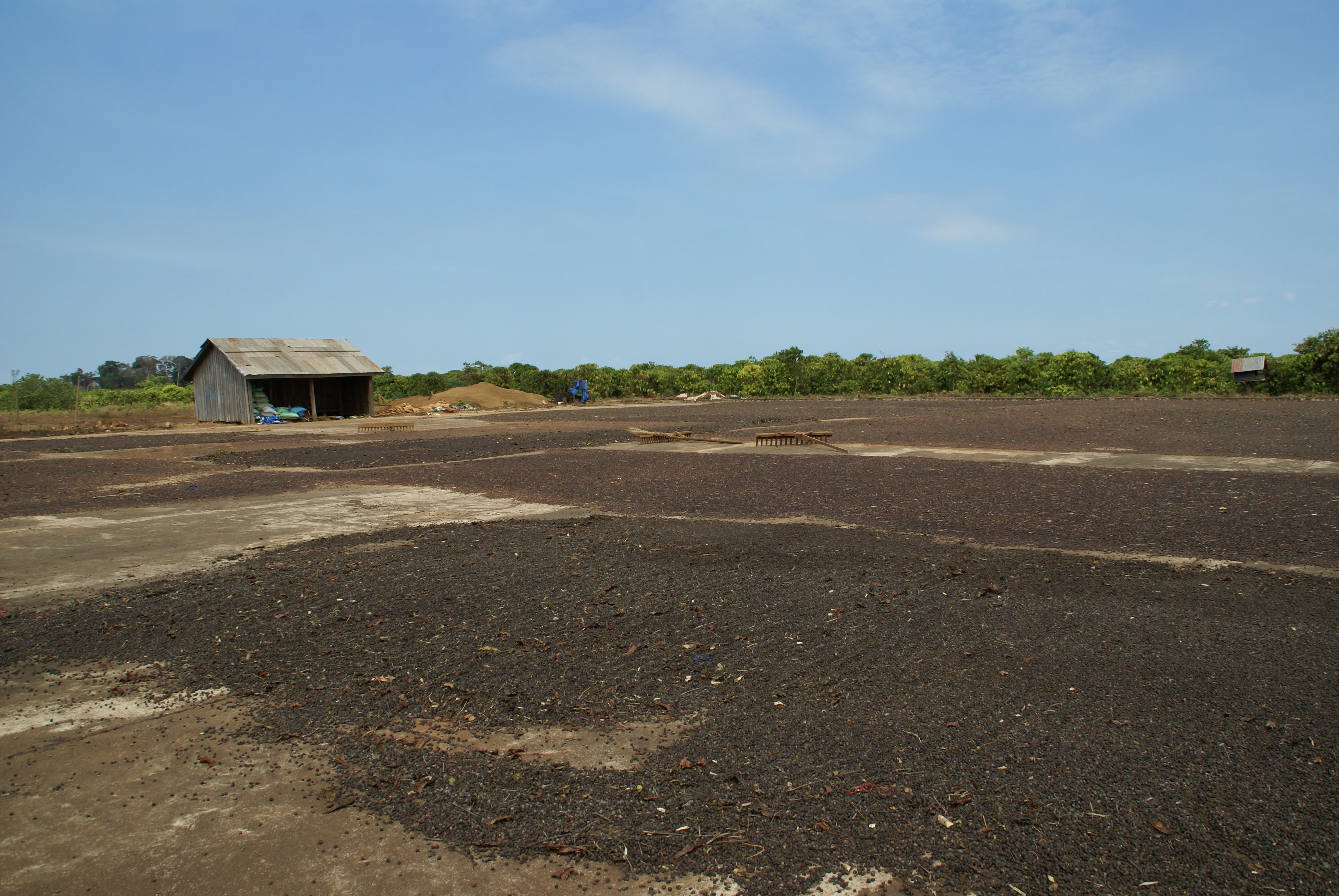 HLH Agriculture (Cambodia)