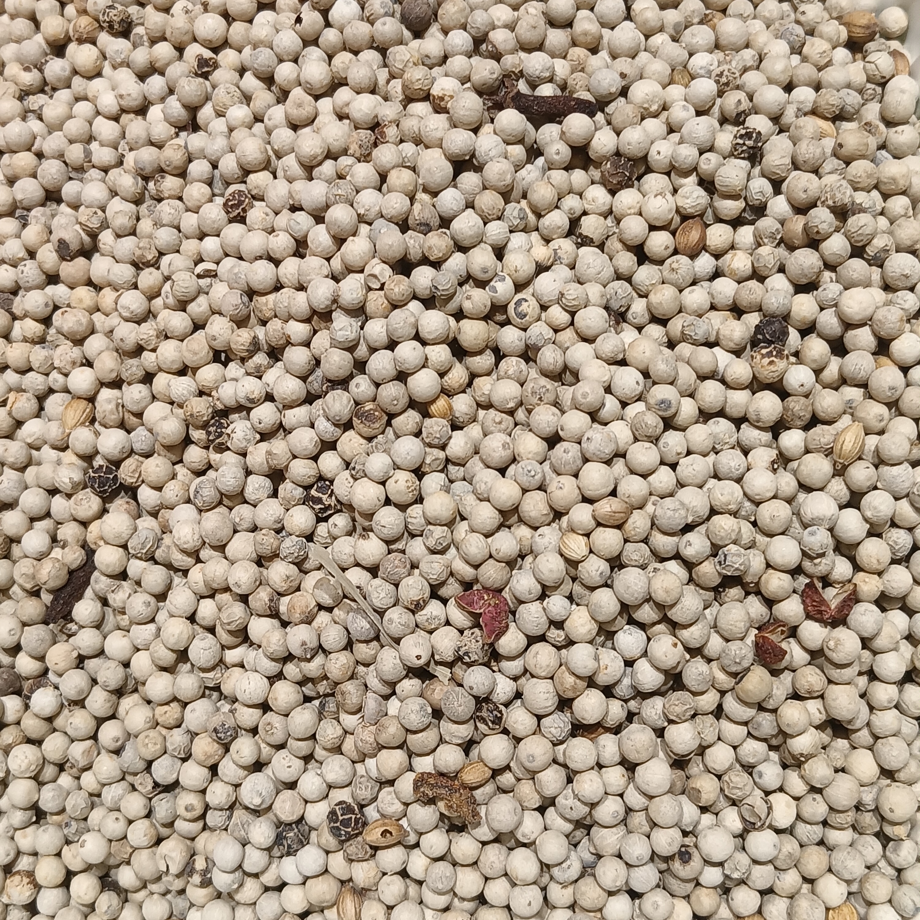 Kampot white pepper