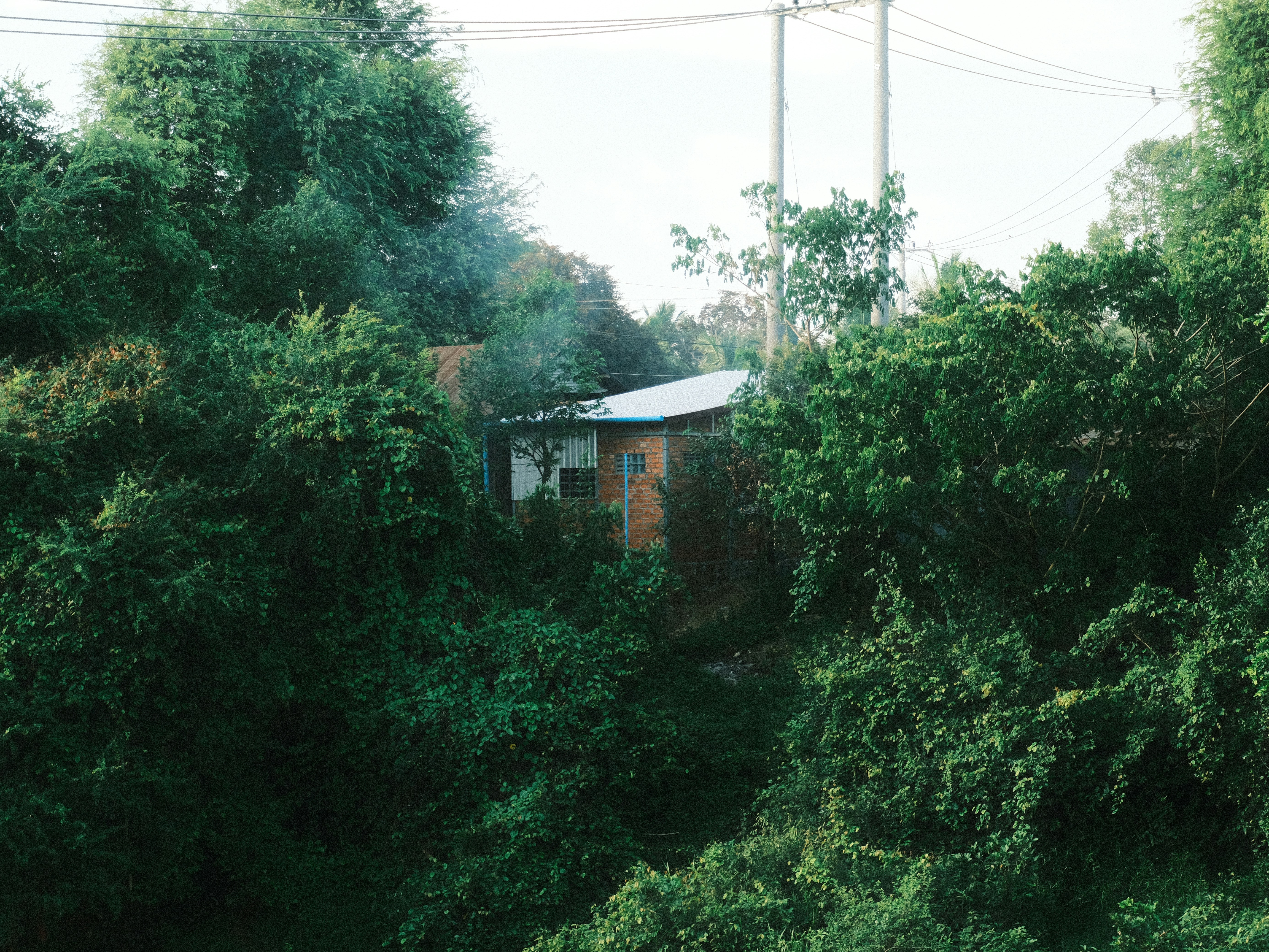 Battambang — 11
