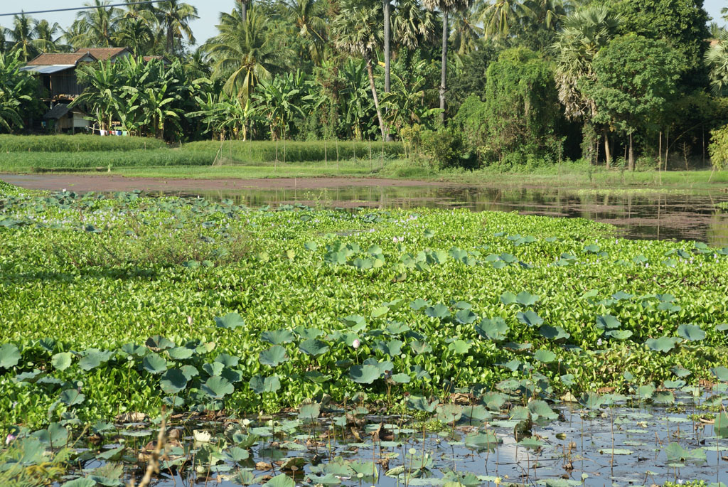 Kampong Cham — 2