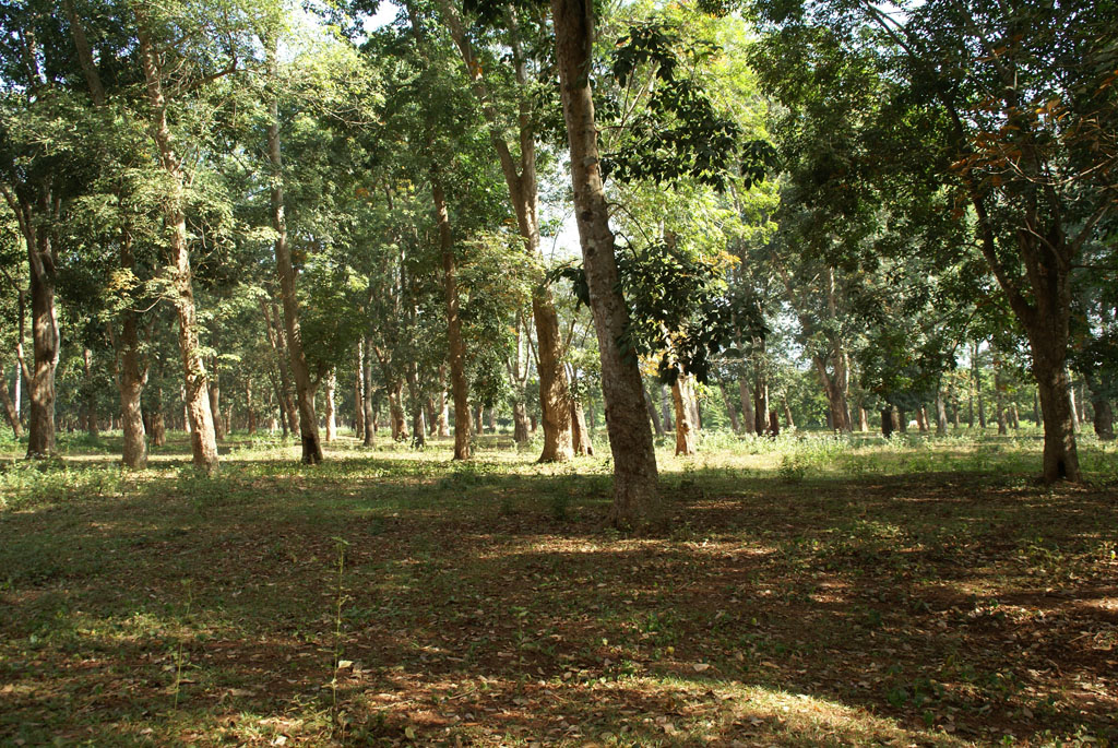Kampong Cham — 4