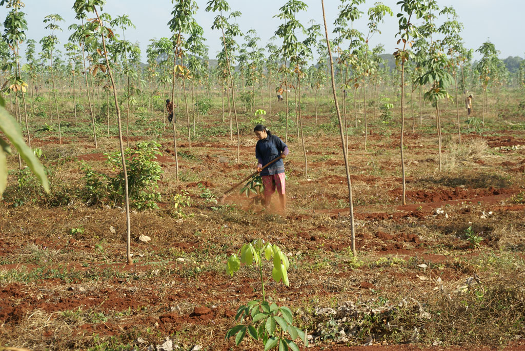 Kampong Cham — 5