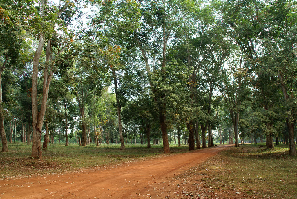 Kampong Cham — 1