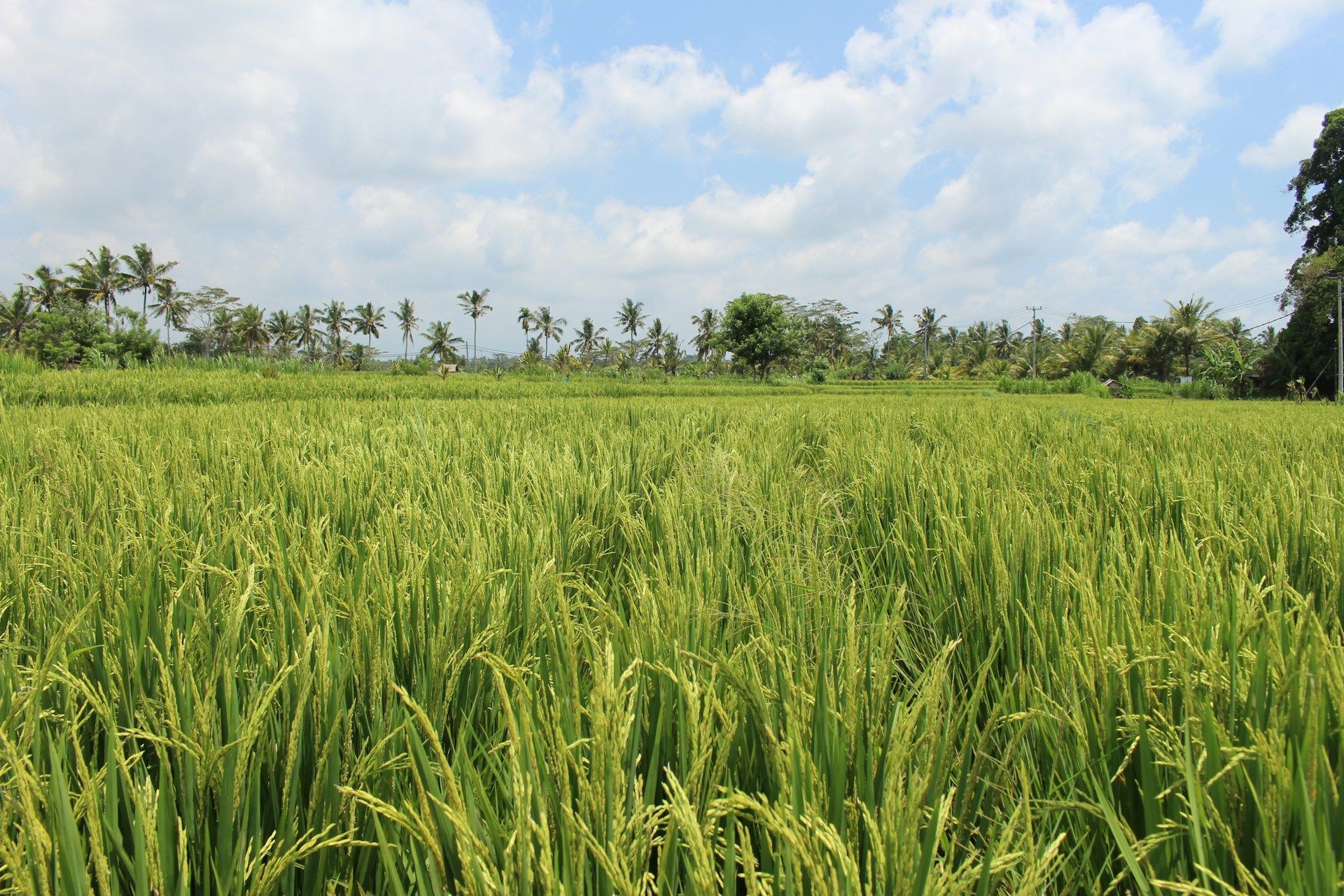 Kampong Chhnang — territoire