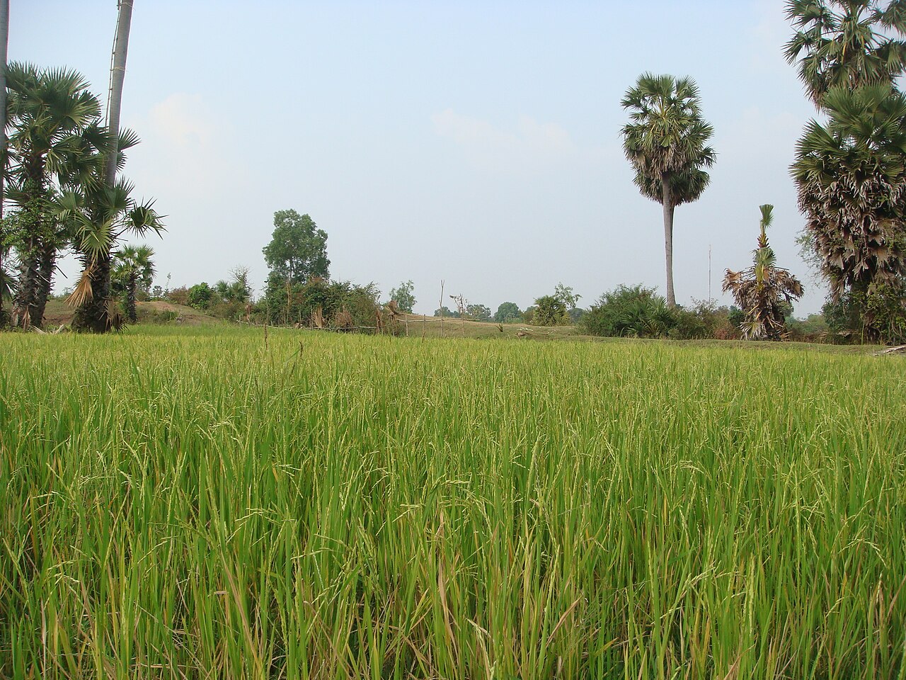 Kampong Thom — territoire
