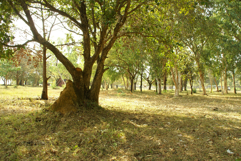 Kep — 1