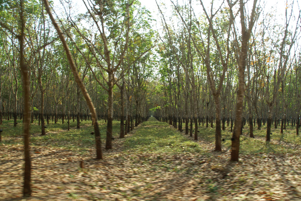 Mondulkiri — 1
