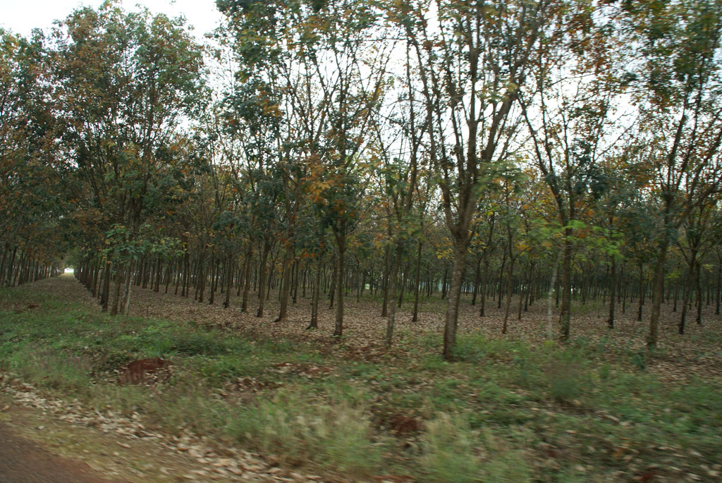 Mondulkiri — 2