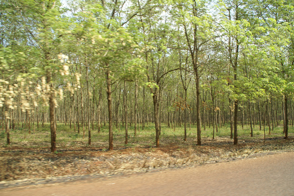 Mondulkiri — 3