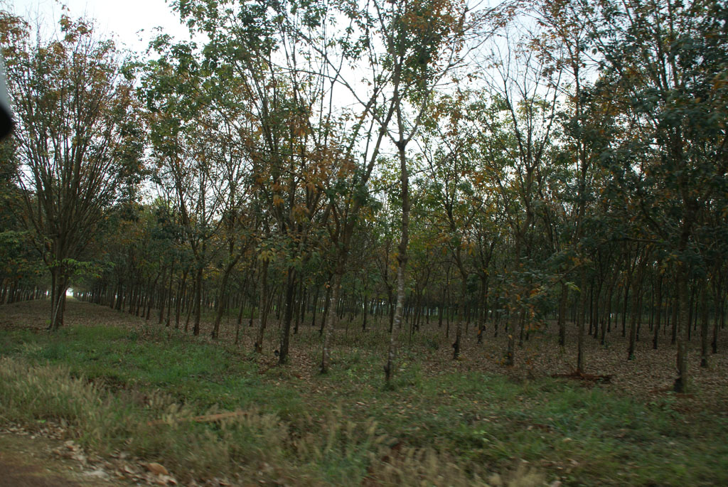 Mondulkiri — 4