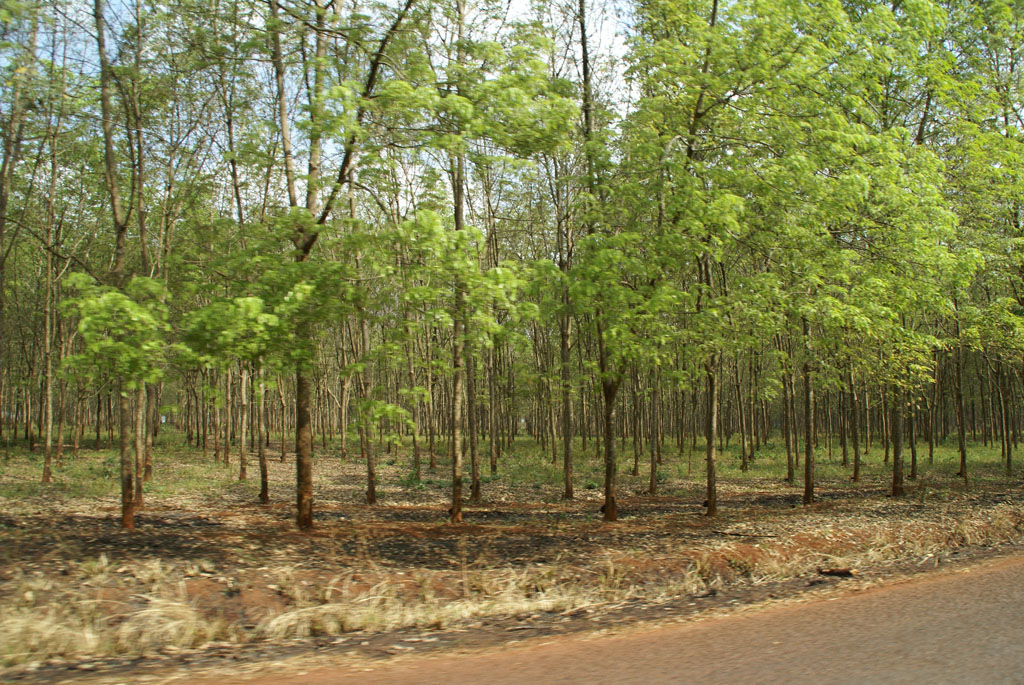 Mondulkiri — territoire