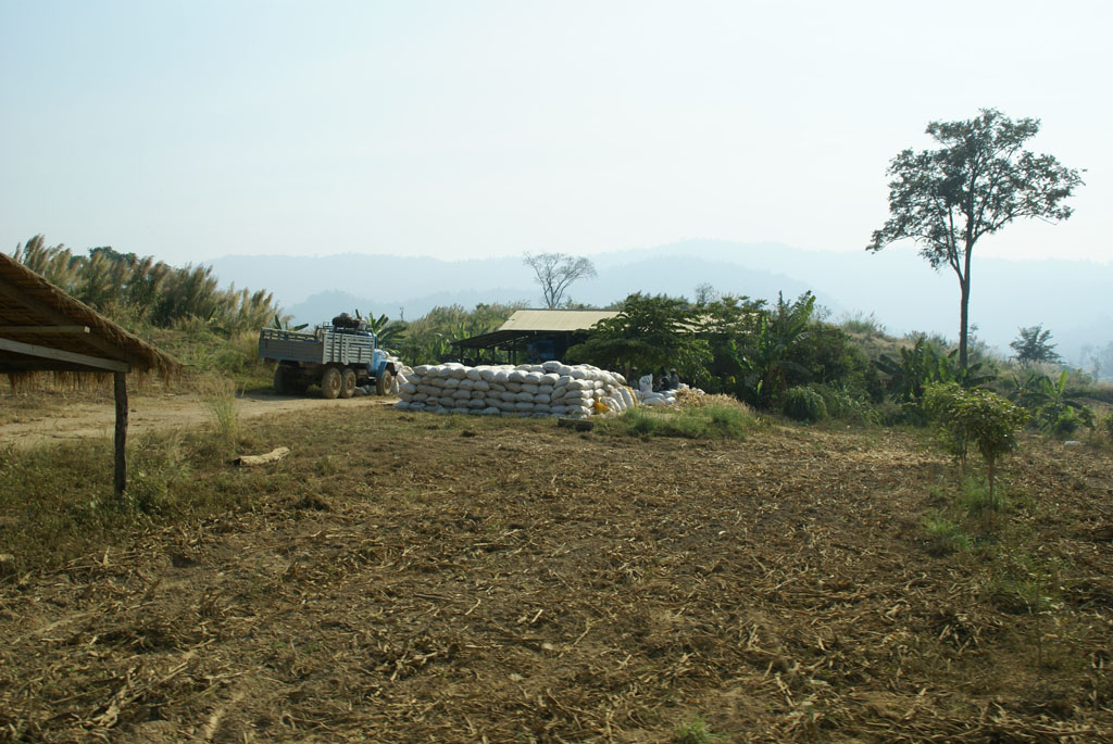 Pailin — 1