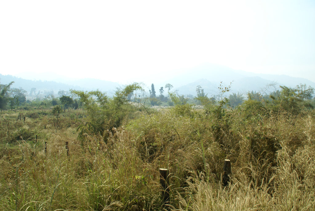 Pailin — 2