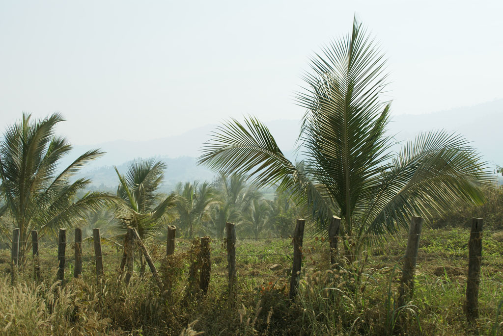 Pailin — territoire