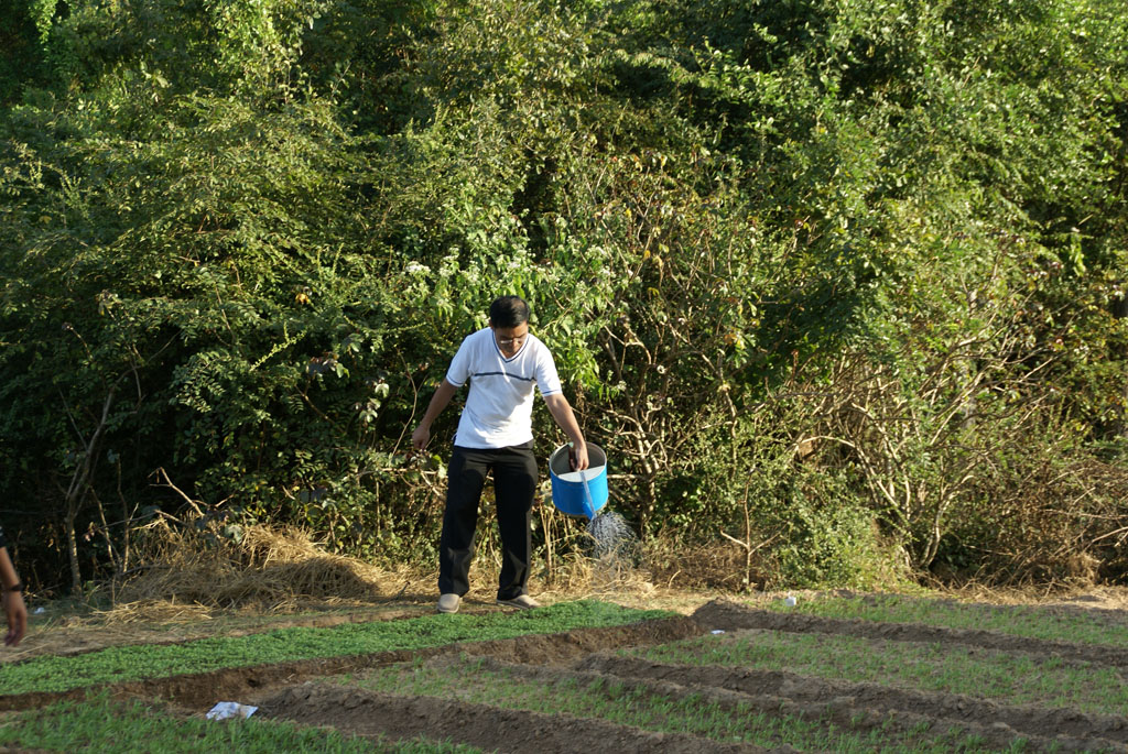 Pursat — 3