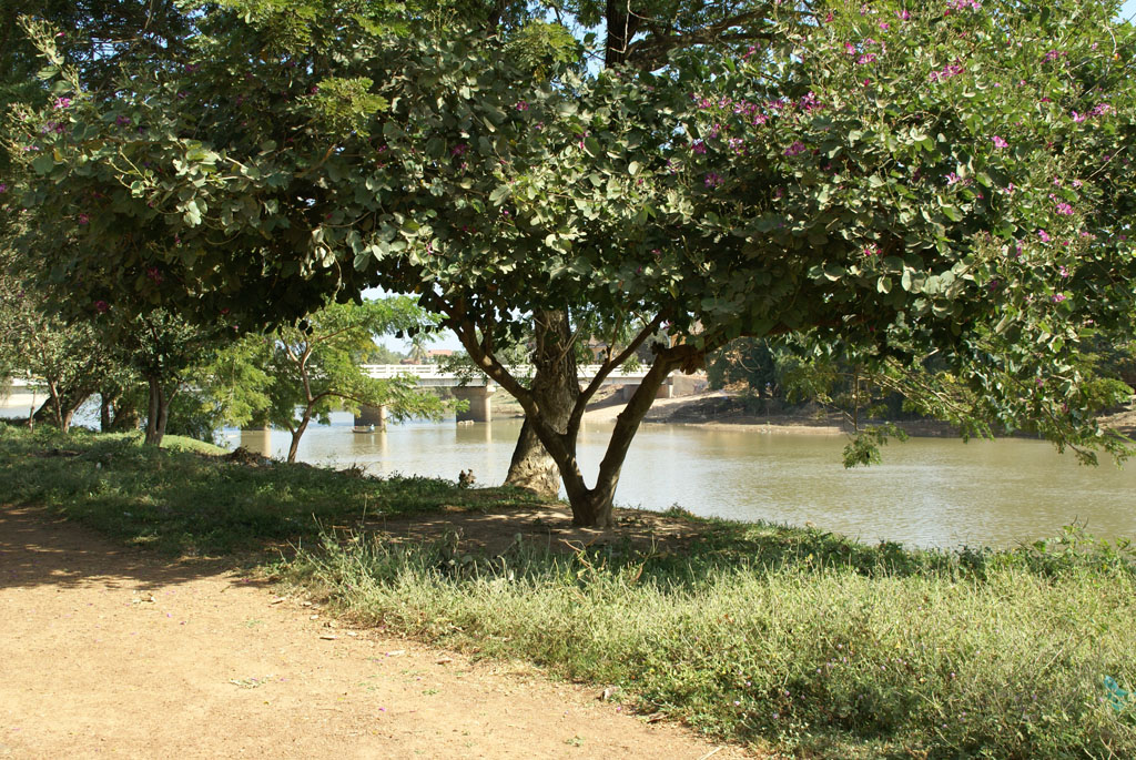 Pursat — territoire