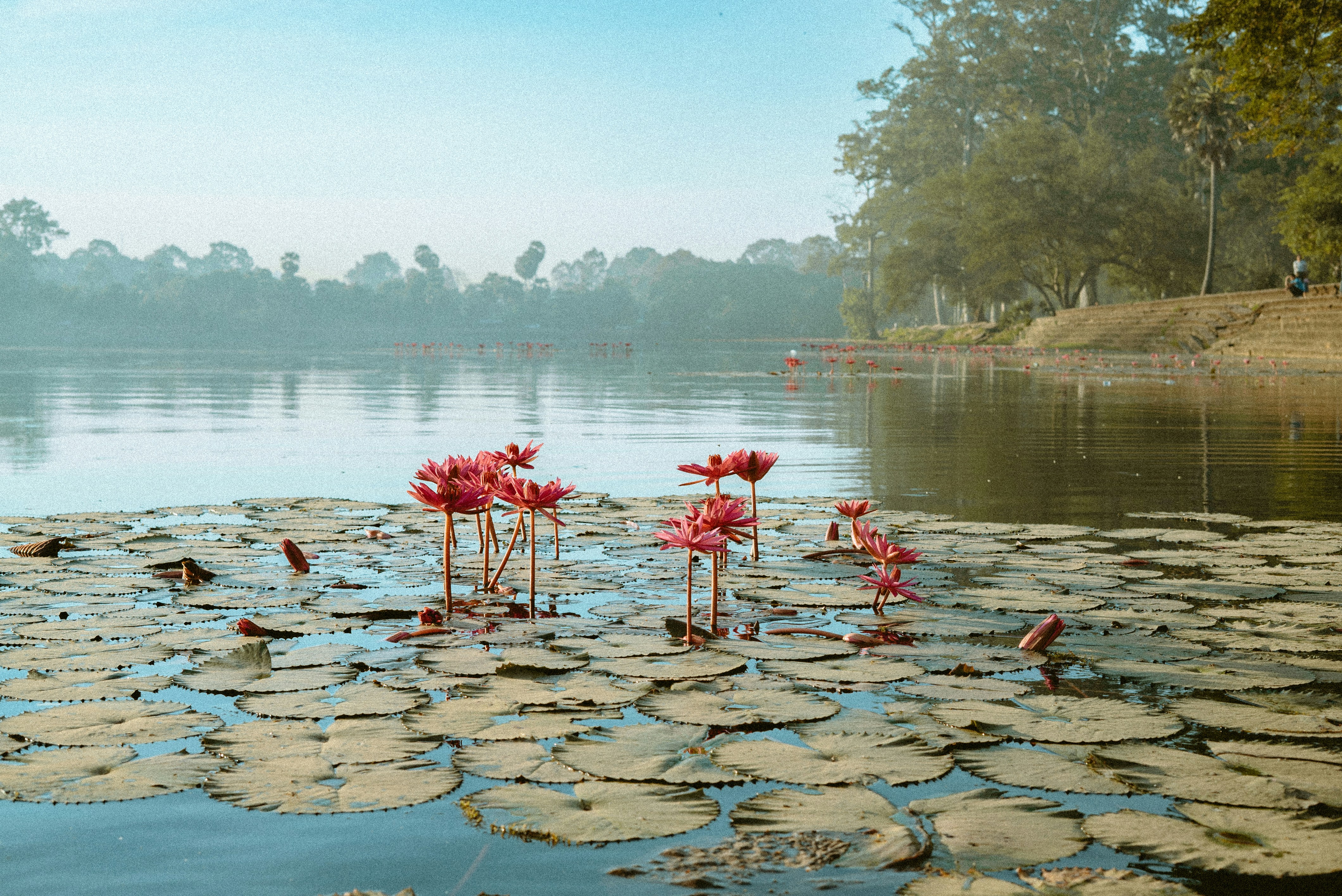 Siem Reap — 10