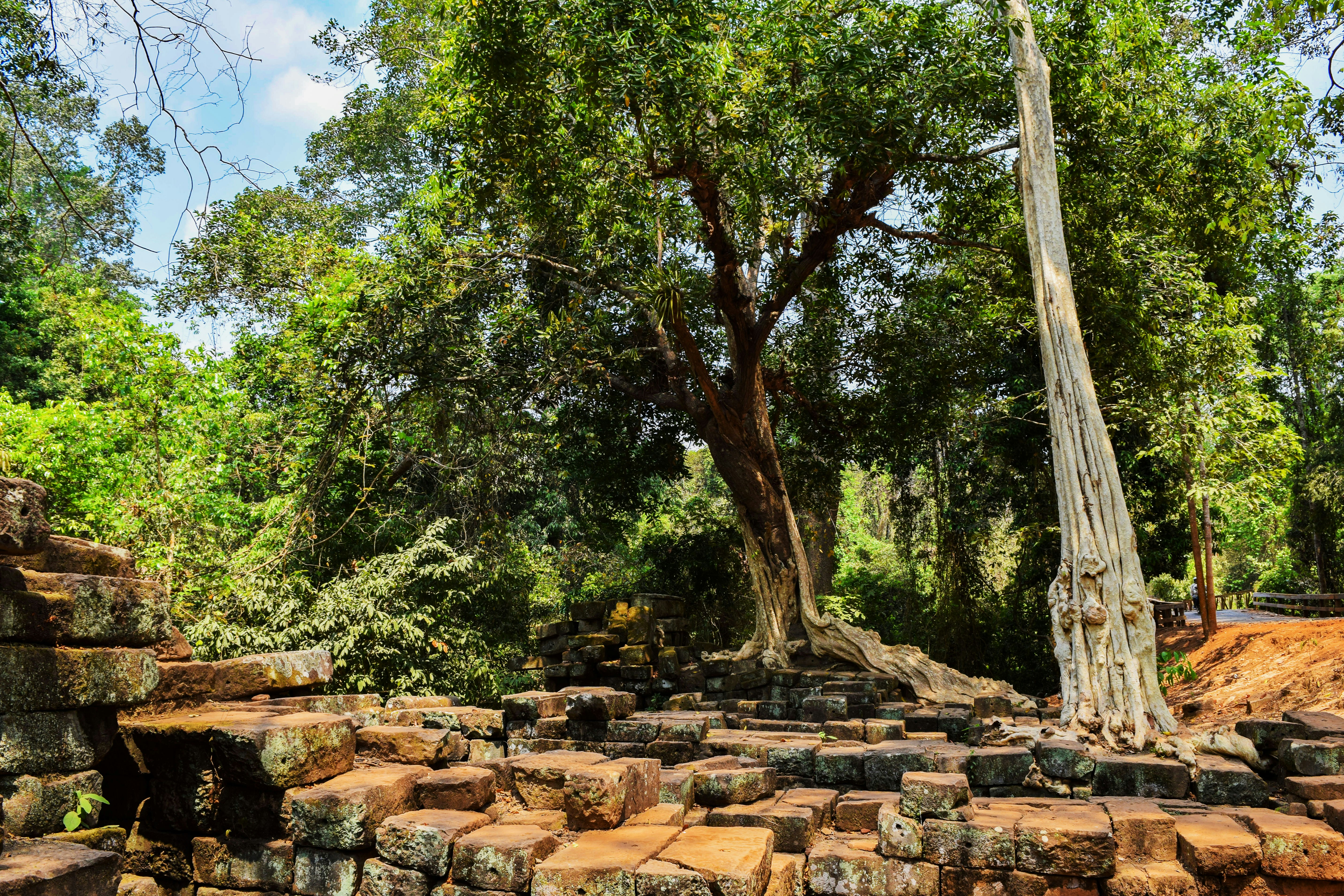 Siem Reap — 17