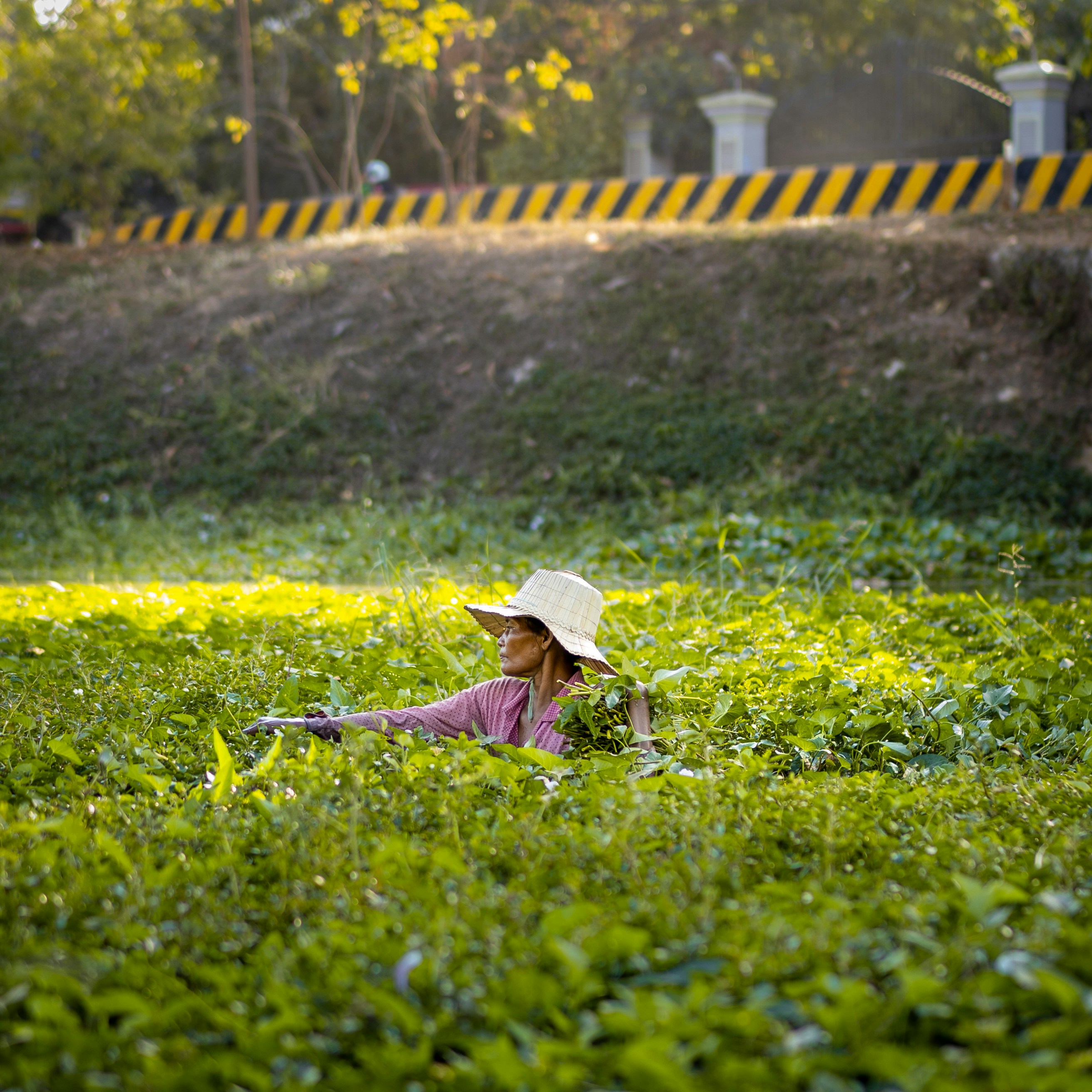 Siem Reap — 20