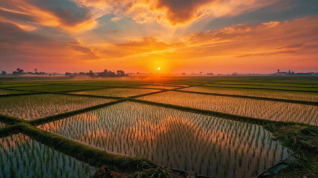 Svay Rieng — territoire