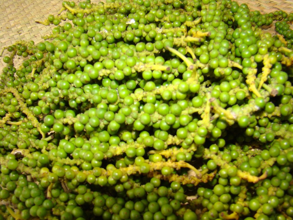 Eco Plus (Kampot Pepper)